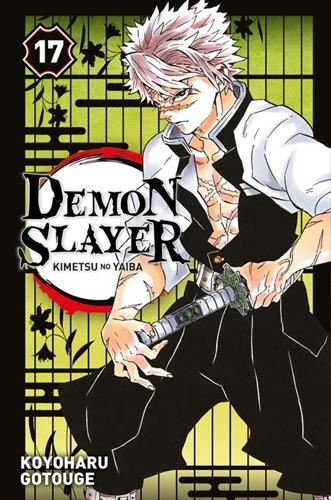 Demon slayer 17/23